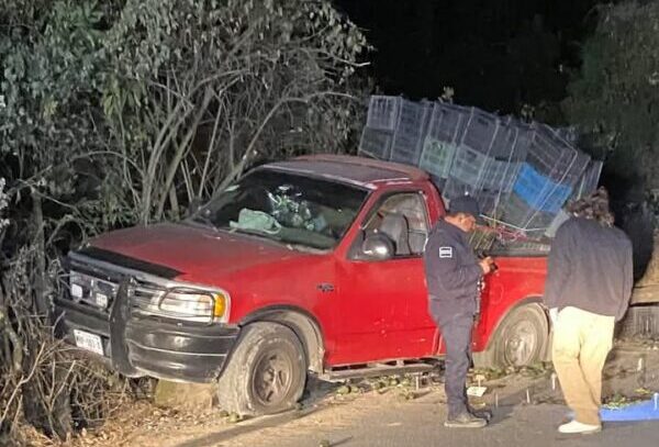 Dos productores de aguacate de Tochimilco, Puebla son asesinados a balazos; una mujer sobrevive al ataque