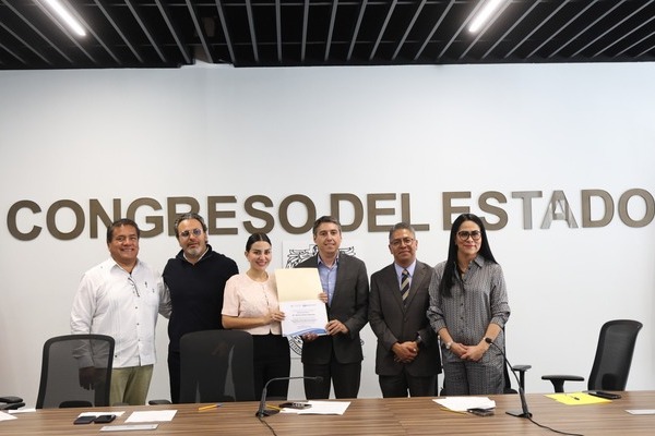 Se explicó la diferencia entre dos figuras constitucionales que se confunden: el juicio político y el juicio de procedencia o “desafuero”