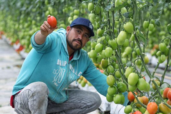 Asimismo, se encuentran en proceso 20 CIITRA adicionales, en coordinación con la Secretaría de Desarrollo Económico y Trabajo de Puebla
