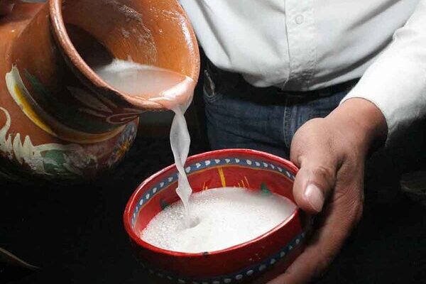 La Declaración es el reconocimiento legal de que el pulque nacido de Tlaxcala posee un saber técnico que no se replica en ningún otro lugar