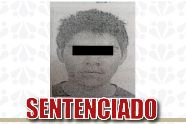 Condenaron a Francisco Nahum N., al acreditarse su responsabilidad penal en la comisión del delito de robo de vehículo agravado en 2018