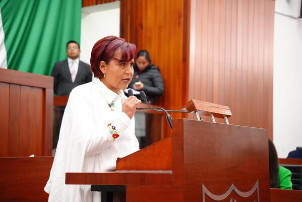 La diputada Madai Perez presentó ante el Pleno la Iniciativa por la que se declara el día 15 de mayo como “Día del Agricultor en Tlaxcala”