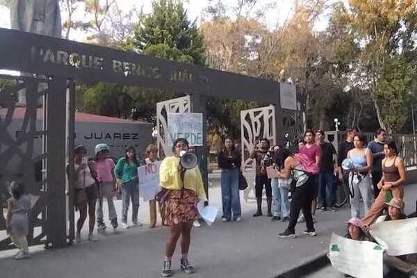 Activistas y jóvenes exigen no talar árboles por construcción de Cablebús en la ciudad de Puebla