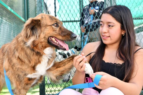 BUAP | CAETO, un espacio que preserva el bienestar de sus coterapeutas caninos