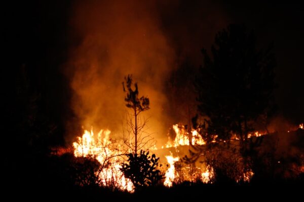 Se registra incendio forestal en Cerro Zapotecas, en San Pedro Cholula; fuego y humo alerta a fraccionamientos aledaños