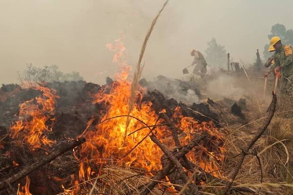El incendio forestal en el cerro de Yahualutzingo, en el municipio de Vicente Guerrero, continúa activo por segundo día consecutivo