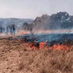 La SSP Puebla controló dos incendios forestales y llevó a cabo la destrucción de hornos clandestinos destinados al procesamiento de madera
