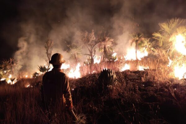 Suman 1,485 hectáreas afectadas por 85 incendios forestales en Puebla, reporta PC