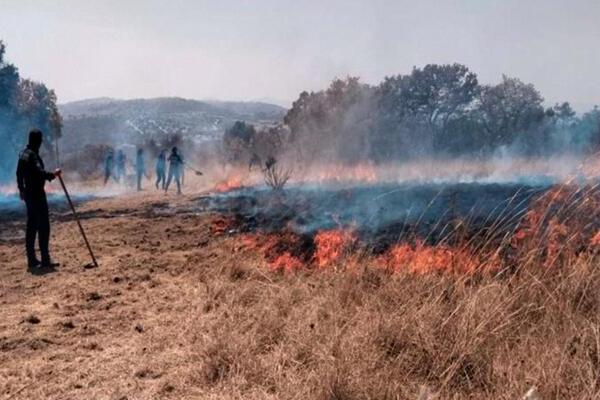La SSP Puebla controló dos incendios forestales y llevó a cabo la destrucción de hornos clandestinos destinados al procesamiento de madera