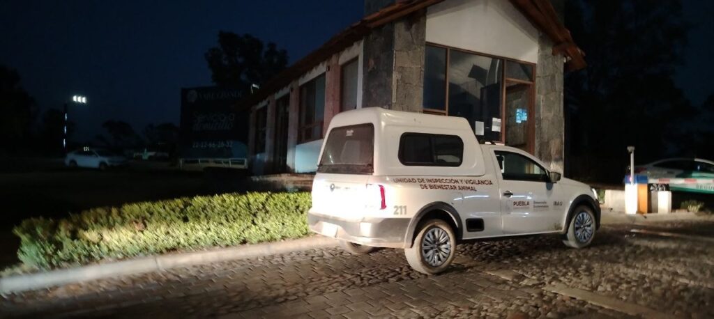 Asesinan a perro pastor belga en Haras del Bosque; IBA presenta denuncia ante FGE Puebla