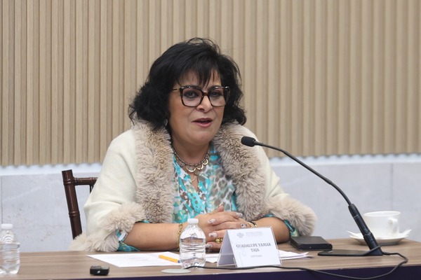 La diputada Guadalupe Yamak Taja presentó un punto de acuerdo para implementar una red de resguardo temporal para mujeres