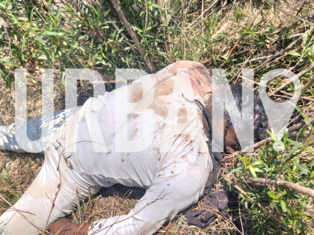 Hallan a un hombre sin vida al fondo de una barranca del municipio de Tochtepec, Puebla